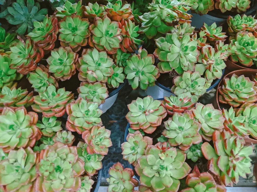 深圳智能硬件方案开发:从原型设计到量产交付的关键环节解析